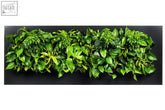 Lush green leafy plants in a dense vibrant wall mounted garden display living wall frame 192cm black