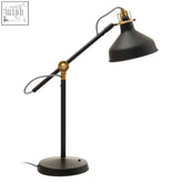 Black metal newton desk lamp with brass accents and adjustable gooseneck arm for flexible lighting on newton desk