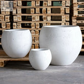 Three white mist orbello 70cm sphere planters made of textured concrete on wooden pallets