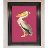 Pelican On Pink Framed Poster - A1 (59.4 x 84.1 cm) / Matt Black - Framed Print