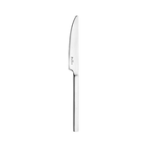 A sleek stainless steel pintinox tie table knife with polished finish and braun engraving near the handle