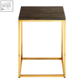 A sleek relic dark petrified wood square side table with a dark wood top and gold metal frame