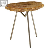 A large petrified wood side table with a rustic circular tree trunk slice top and sleek metal legs