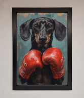 Sausage Dog Boxing Framed Print