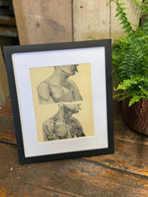 Black-framed victorian anatomy engraving showing detailed neck and shoulder muscle sketches on cream paper