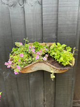 Rustic weathered galvanised metal wall planter shaped like a shoe with pink flowers and green foliage growing inside