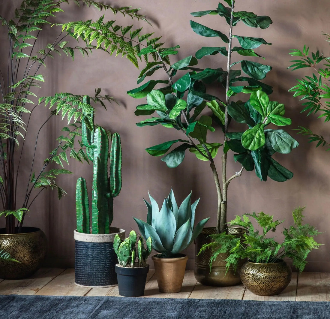 Artificial Plants - Trees & Pots