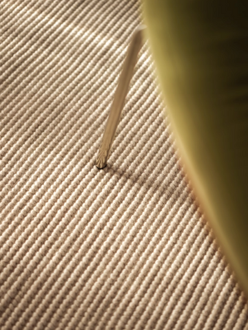 Robbie Rectangular Living Room Rug