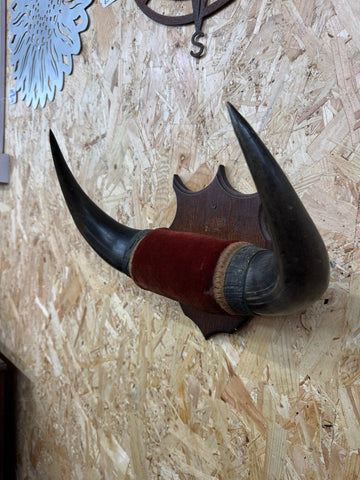 Vintage Buffalo Horns / Mounted Horns / Hat Coat Hooks / Taxidermy Mancave Bar