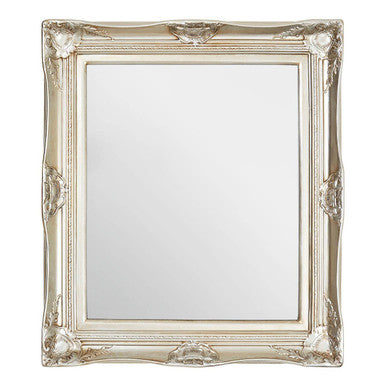 Adelere Ornate Acanthus Leaf Wall Mirror
