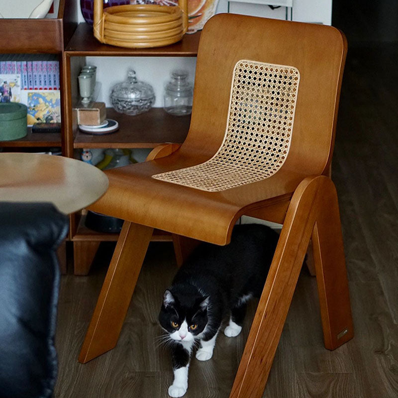 Nita Curved Rattan Dining Chair, Rubber Wood