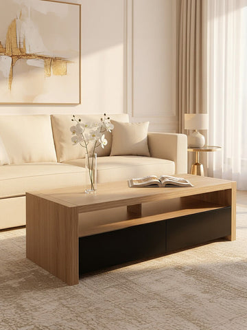 Loki 2 Drawers And 1 Shelf Coffee Table