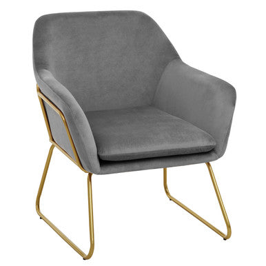 Xander Grey Velvet Modern Accent Chair