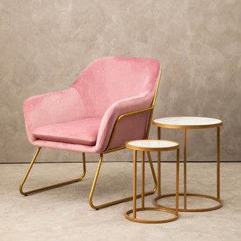 Xander Pink Velvet Modern Accent Chair with Gold Frame