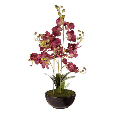 Fiori Purple Orchid Plant With Black Pot
