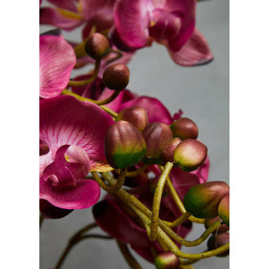 Fiori Purple Orchid Plant With Black Pot