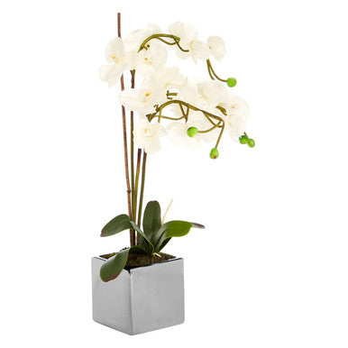Fiori Artificial flowers White Orchid Plant in Square Pot
