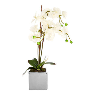 Fiori Artificial flowers White Orchid Plant in Square Pot