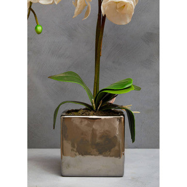 Fiori Artificial flowers White Orchid Plant in Square Pot