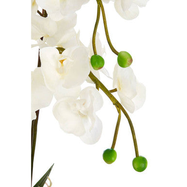 Fiori Artificial flowers White Orchid Plant in Square Pot