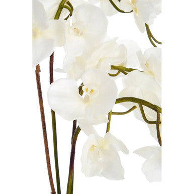 Fiori Artificial flowers White Orchid Plant in Square Pot