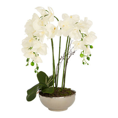 Fiori White Orchid Plant With Round Silver Pot