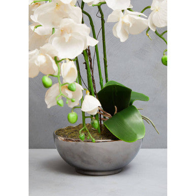 Fiori White Orchid Plant With Round Silver Pot