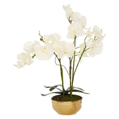 Fiori Artificial flowers White Orchid Plant in Gold Pot