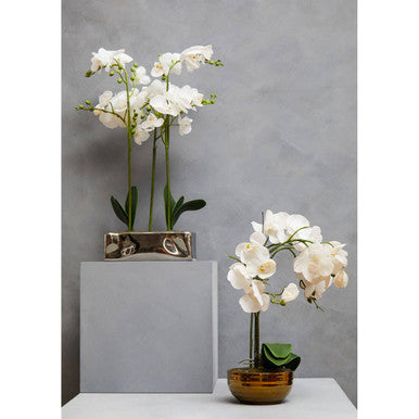 Fiori Artificial flowers White Orchid Plant in Gold Pot