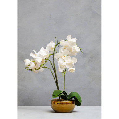 Fiori Artificial flowers White Orchid Plant in Gold Pot