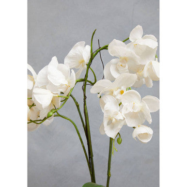 Fiori Artificial flowers White Orchid Plant in Gold Pot
