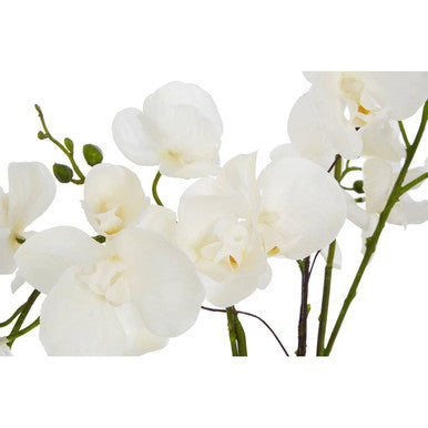 Fiori Artificial flowers White Orchid Plant in Gold Pot