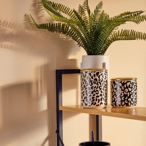 Fiori Fern in White Cement Pot on Stand