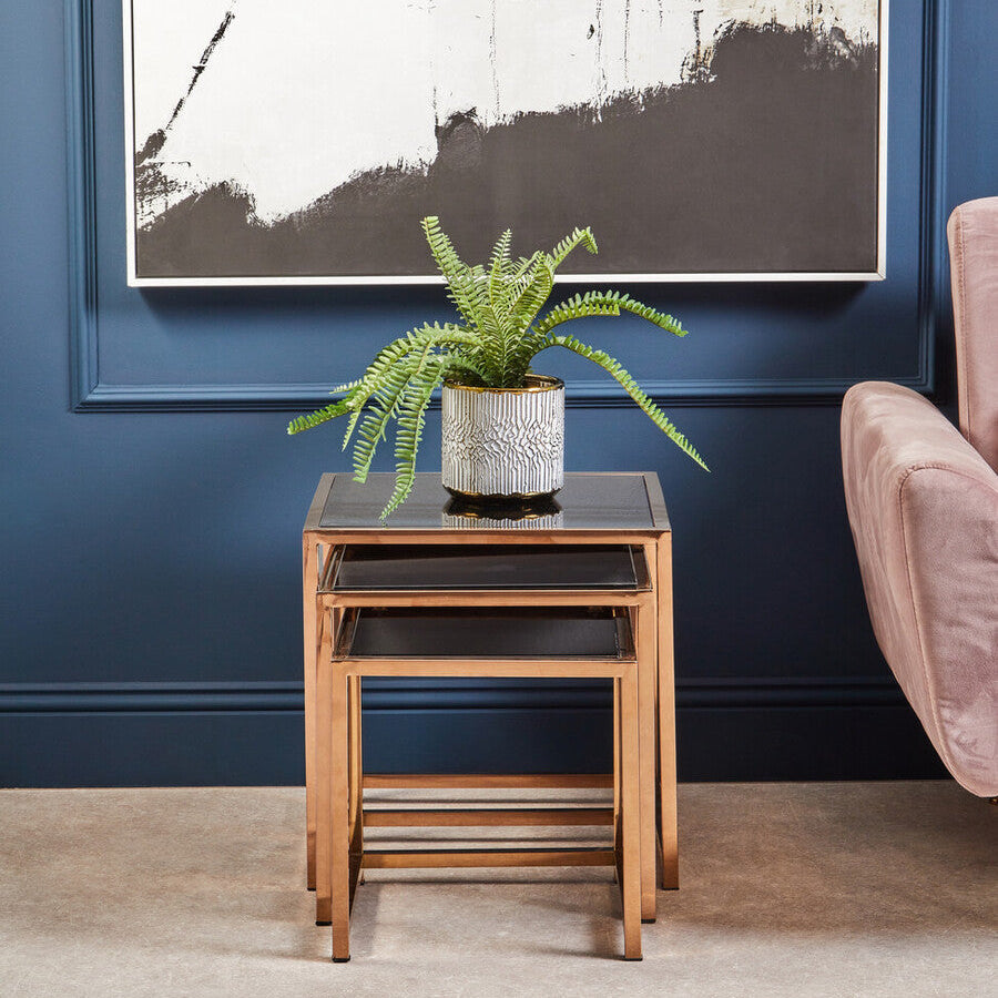 Fiori Fern in White Cement Pot on Stand