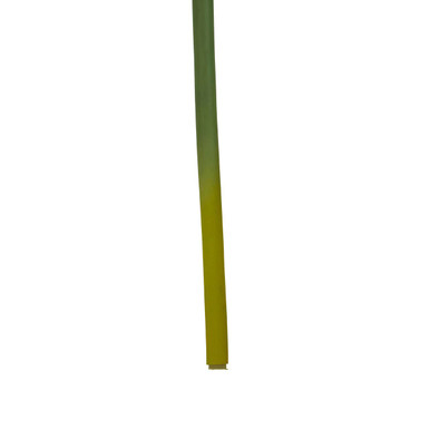 Fiori 72cm Amarylilis Burgundy Stem