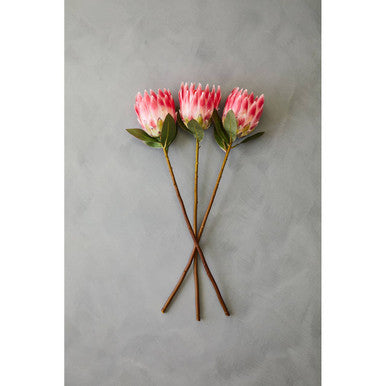 Fiori 62cm Protea Pink Stem