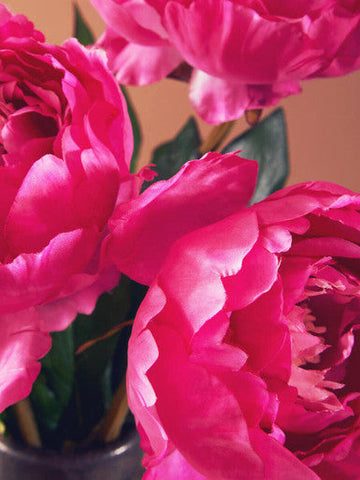 Fiori 65cm Peony Fuchsia Stem