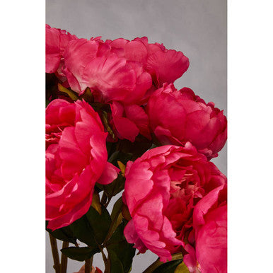 Fiori 65cm Peony Fuchsia Stem