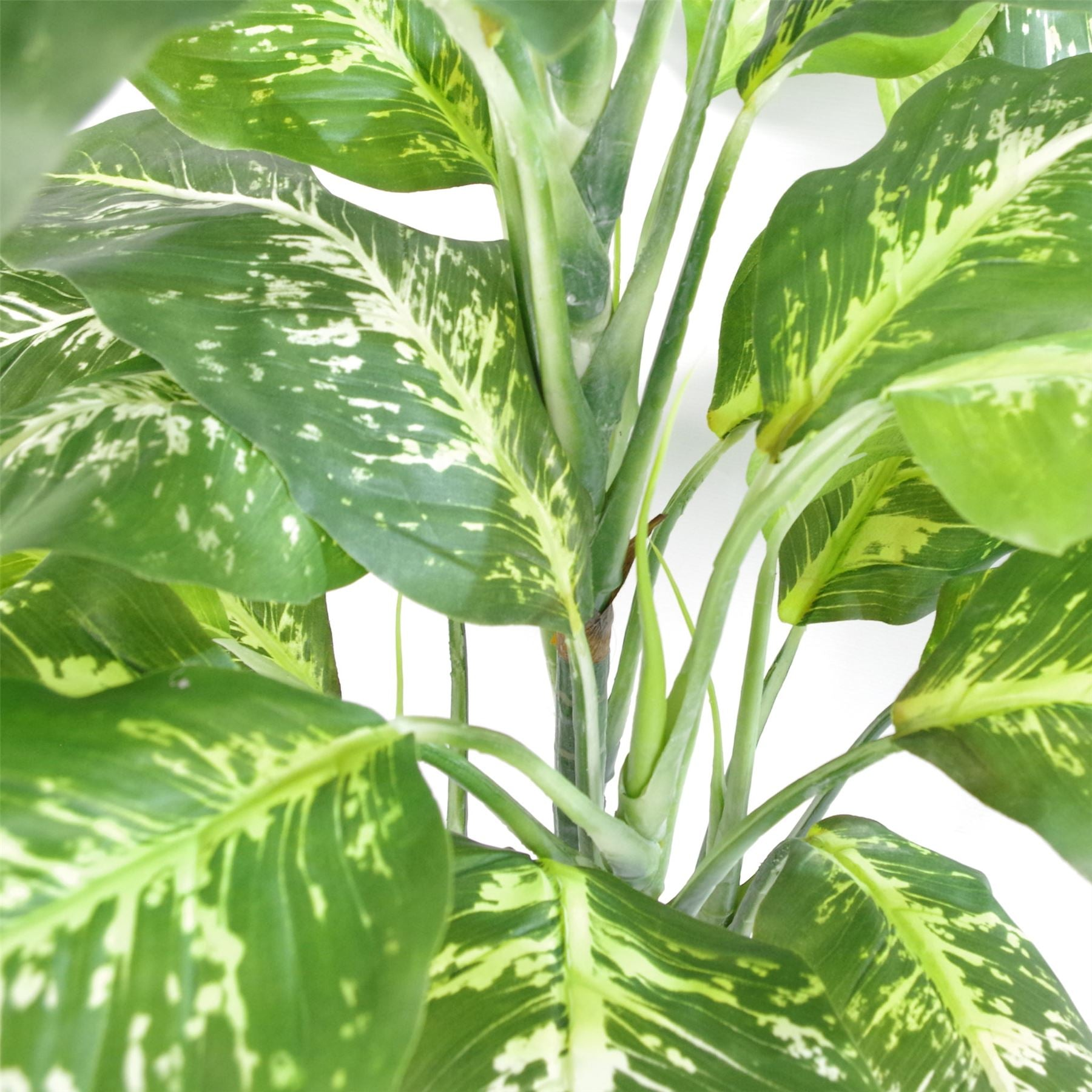 Artificial Plant Fox Aglaonema Tree Silver Metal Planter 100cm