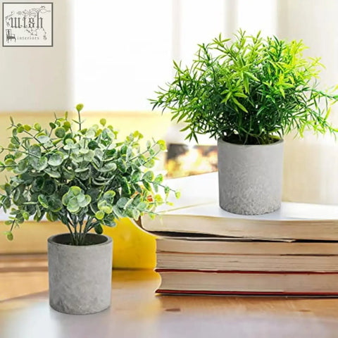 Two artificial plants indoors in textured gray concrete pots with round and needle-like green foliage for decoration