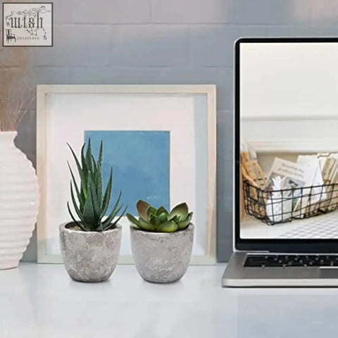 Two small textured gray concrete pots with green succulents from a set artificial plants indoors for decoration