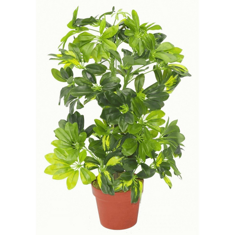 Artificial plant with premium metal planter Botanik Botanik
