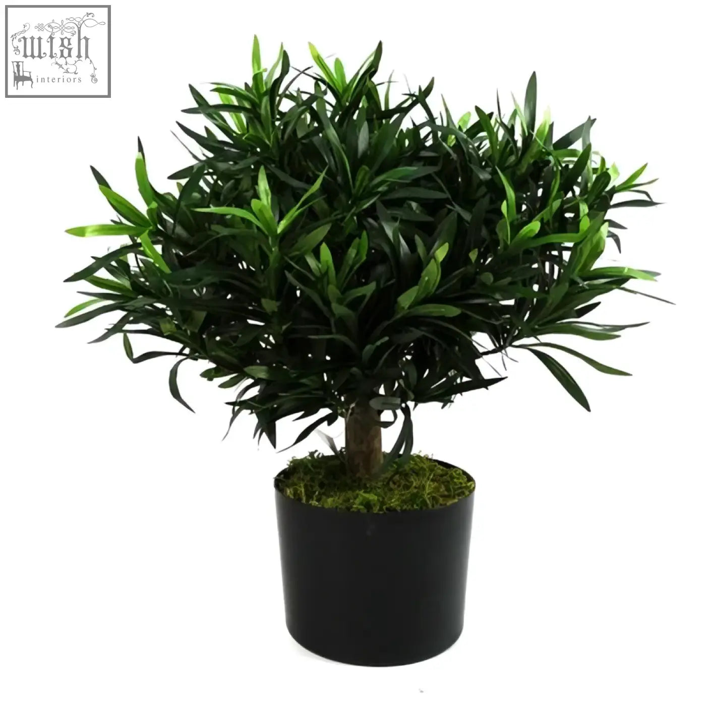 A lush dark green 40cm podocarpus bush artificial plant with long slender leaves in a sleek black pot