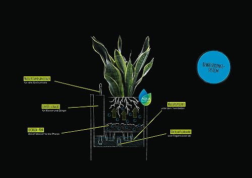 Lechuza Self Watering Plant Pot CANTO Stone 30 Low Plastic Indoor and Outdoor Plant Pot with Drainage Hole H30 L30 W30 cm Stone Grey