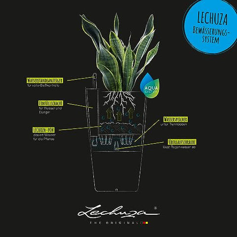Lechuza CILINDRO Color 32 Self Watering Planter Garden Plastic Indoor and Outdoor Flower Plant Pot with Drainage Hole D32 H56 cm Sand Brown