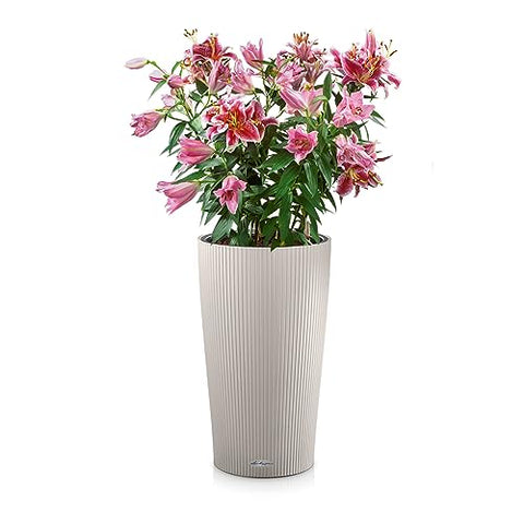 Lechuza CILINDRO Color 32 Self Watering Planter Garden Plastic Indoor and Outdoor Flower Plant Pot with Drainage Hole D32 H56 cm Sand Brown