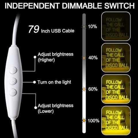 ineonlife Follow the Call of the Disco Ball Neon Sign for Wall Decor Dimmable Led Neon Lights 5V/2A USB Lemon Yellow Light Up Sign for Bedroom Party Birthday Wedding Engagement Party Bar Club