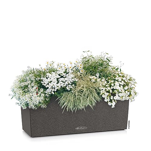 Lechuza BALCONERA Stone 50 Self Watering Planter Plastic Indoor/Outdoor Flower Plant Pot Table and Window Box with Drainage HoleH19 L50 W19 cm