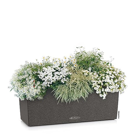 Lechuza BALCONERA Stone 50 Self Watering Planter Plastic Indoor/Outdoor Flower Plant Pot Table and Window Box with Drainage HoleH19 L50 W19 cm