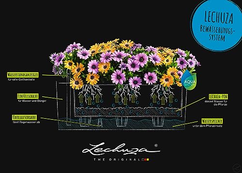 Lechuza BALCONERA Stone 50 Self Watering Planter Plastic Indoor/Outdoor Flower Plant Pot Table and Window Box with Drainage HoleH19 L50 W19 cm
